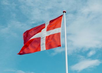 Danish flag 250x350