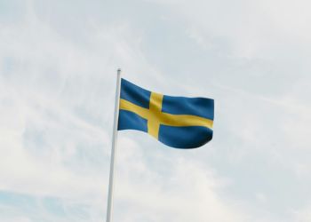 Swedish flag 250x350